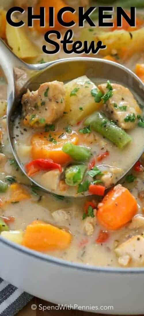 Ladle full of Chicken Stew with a title