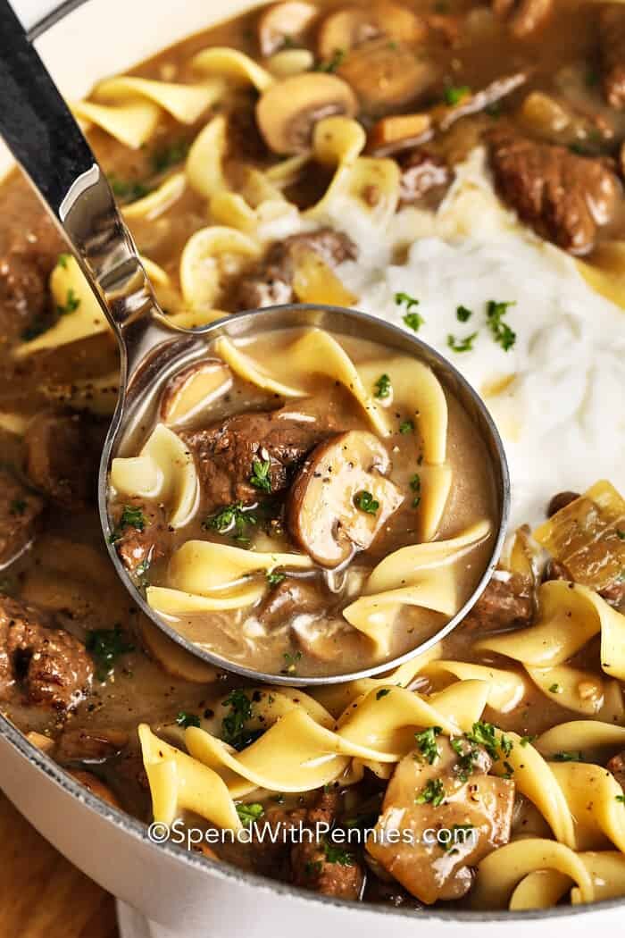 Beef Stroganoff Soup being served