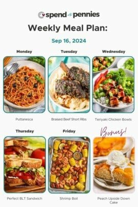 Weekly Meal Plan Sep 16, 2024 FT